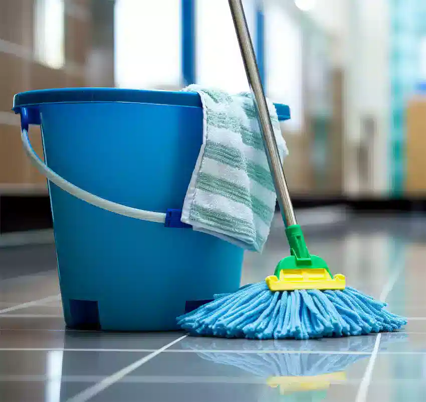 A bucket, spray bottles, brush, squeegee and dustpan.